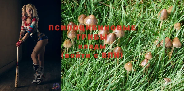 гидропоника Балахна
