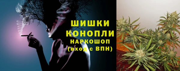 СК Гатчина